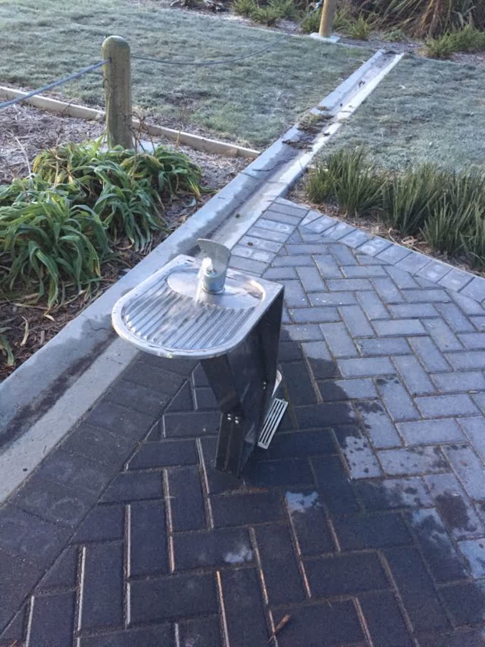 The photograph attached to this parks report