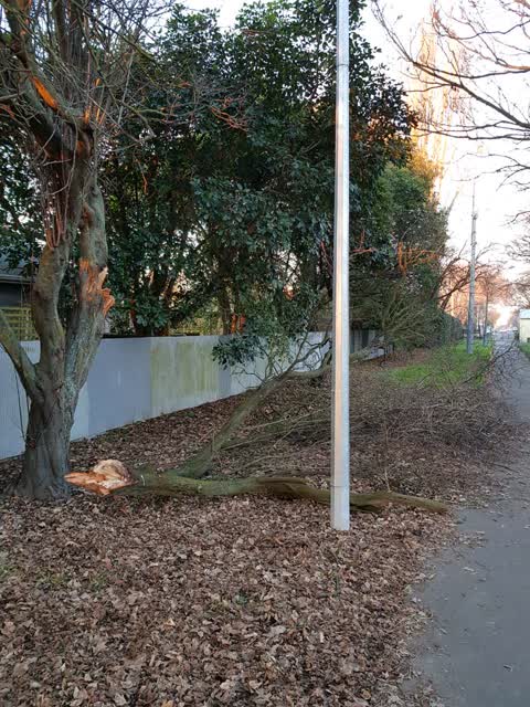 Parks, a report photo