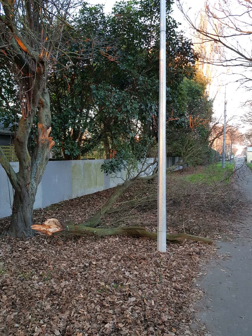 The photograph attached to this parks report
