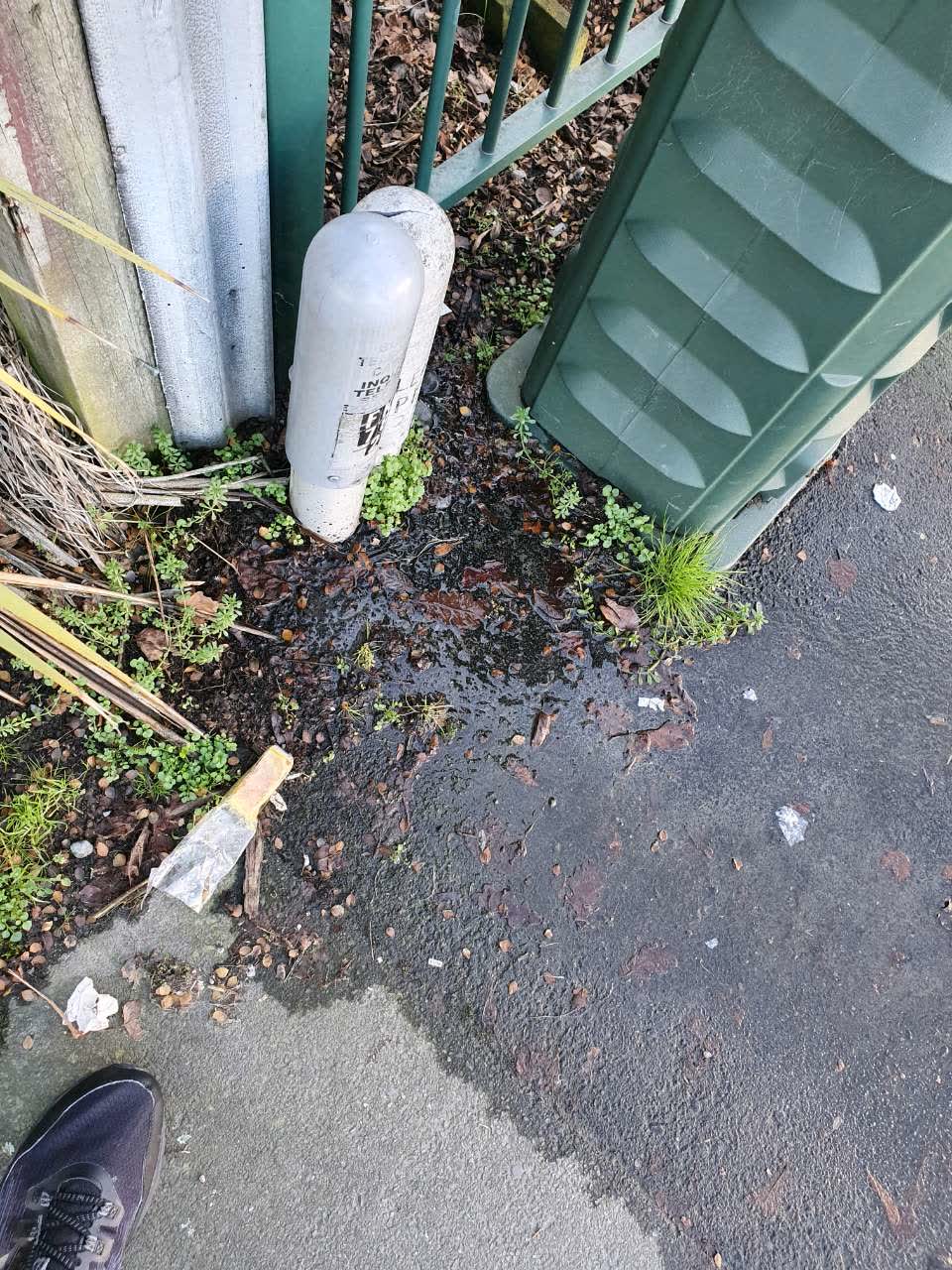 The photograph attached to this water supply report