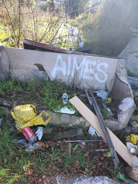 Rubbish/Recycling — a report photo
