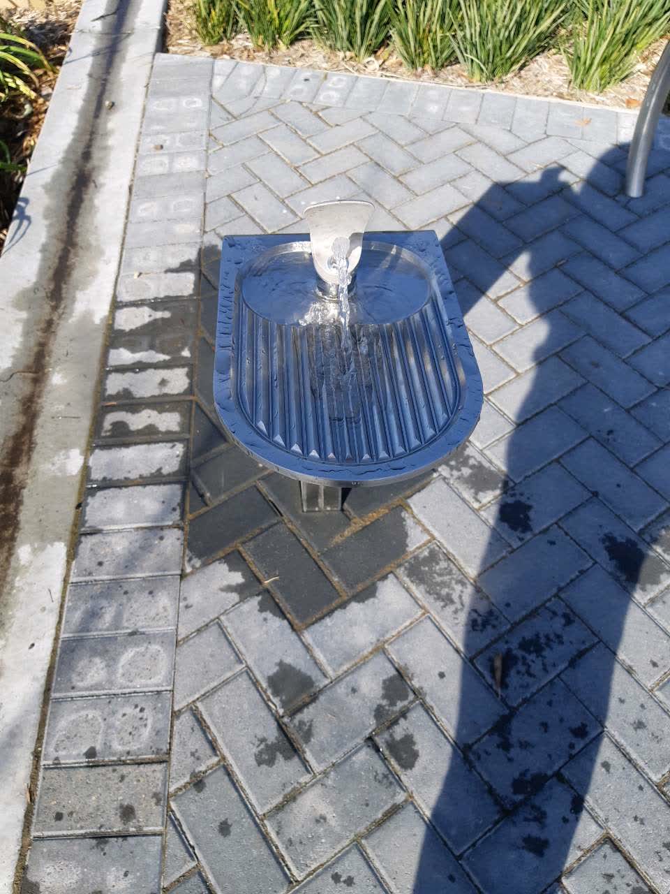 The photograph attached to this parks report