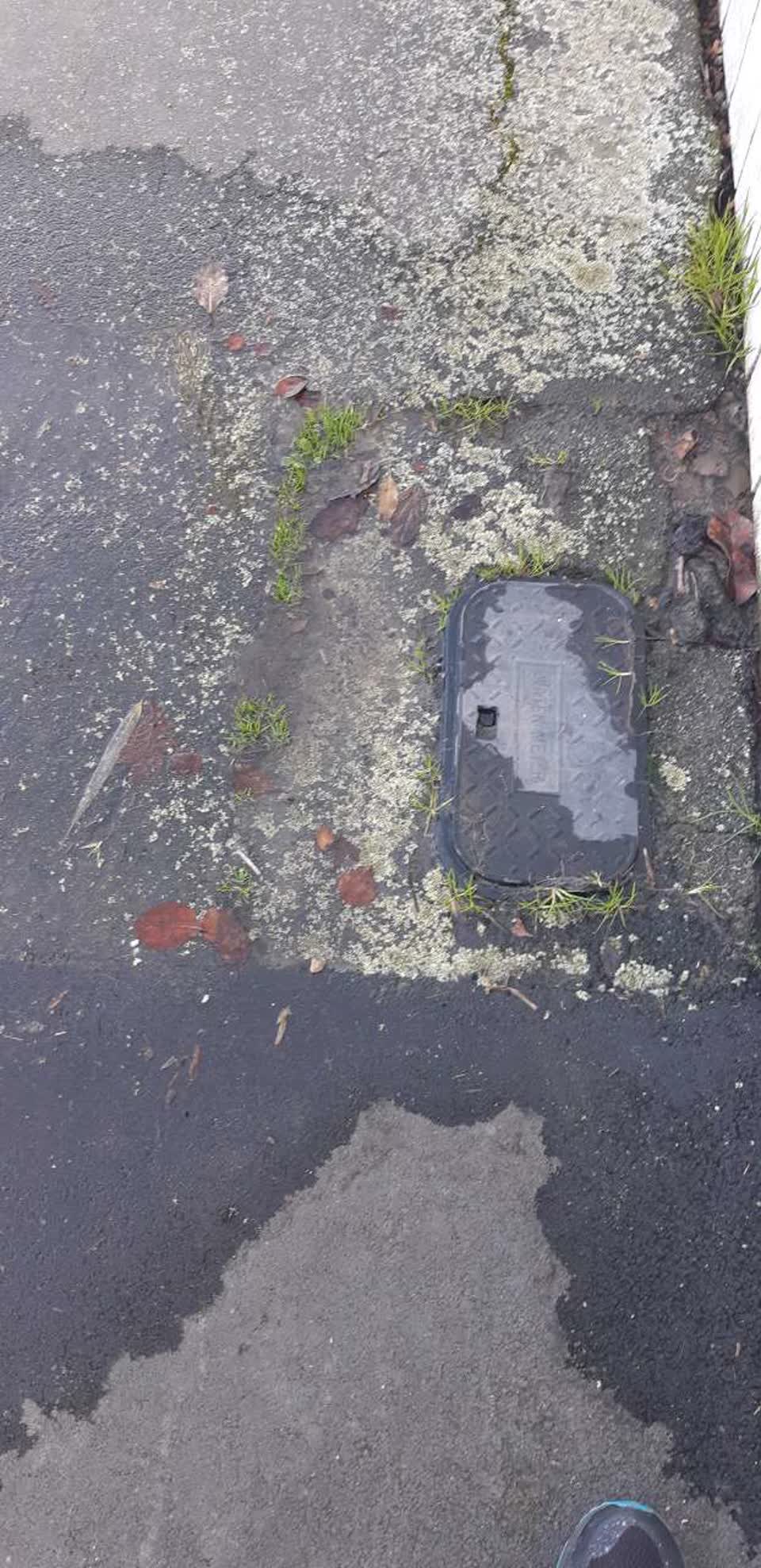 The photograph attached to this water supply report