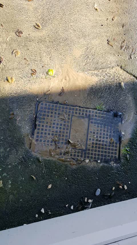 Water Supply, a report photo