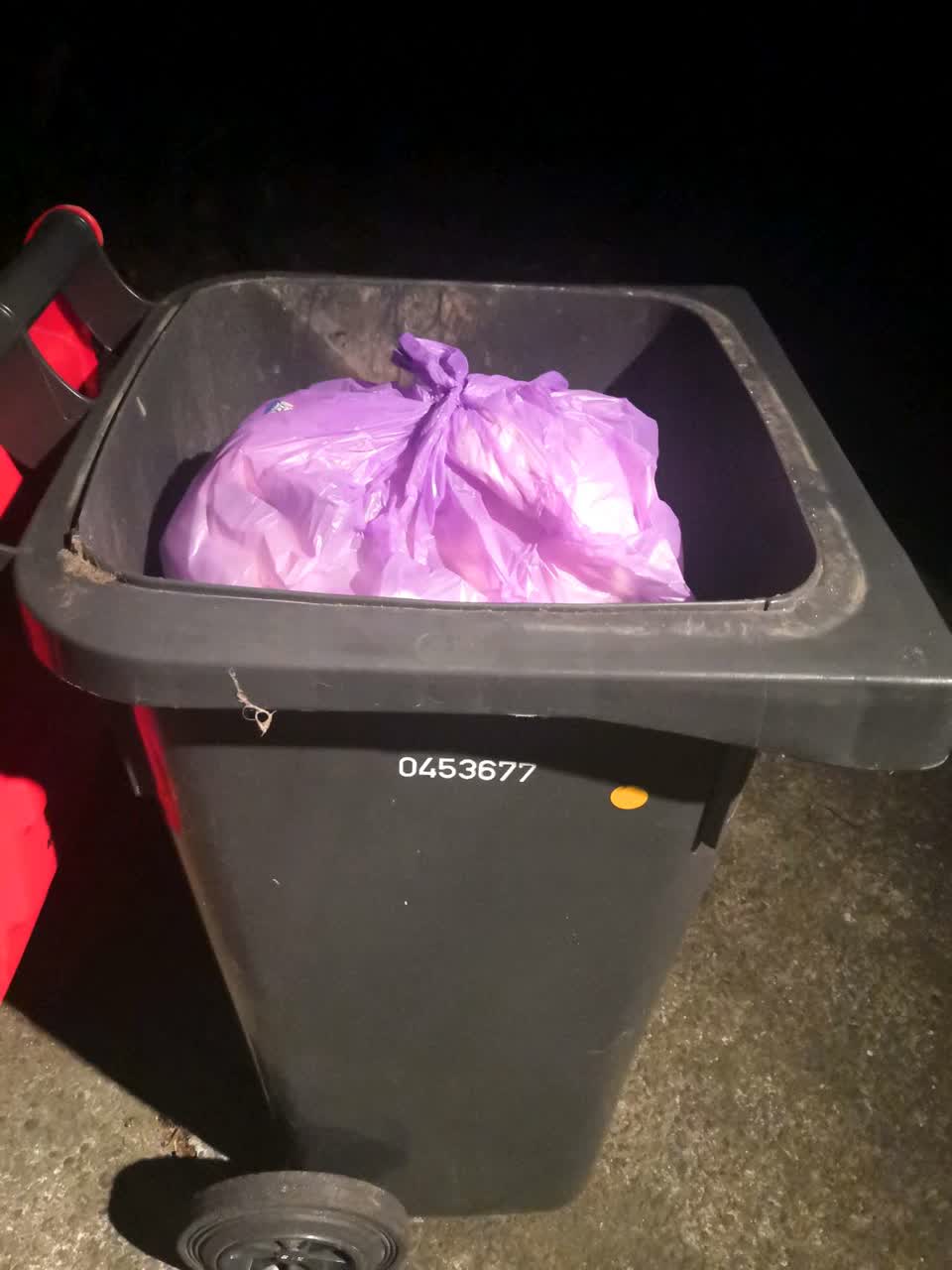 The photograph attached to this rubbish/recycling report