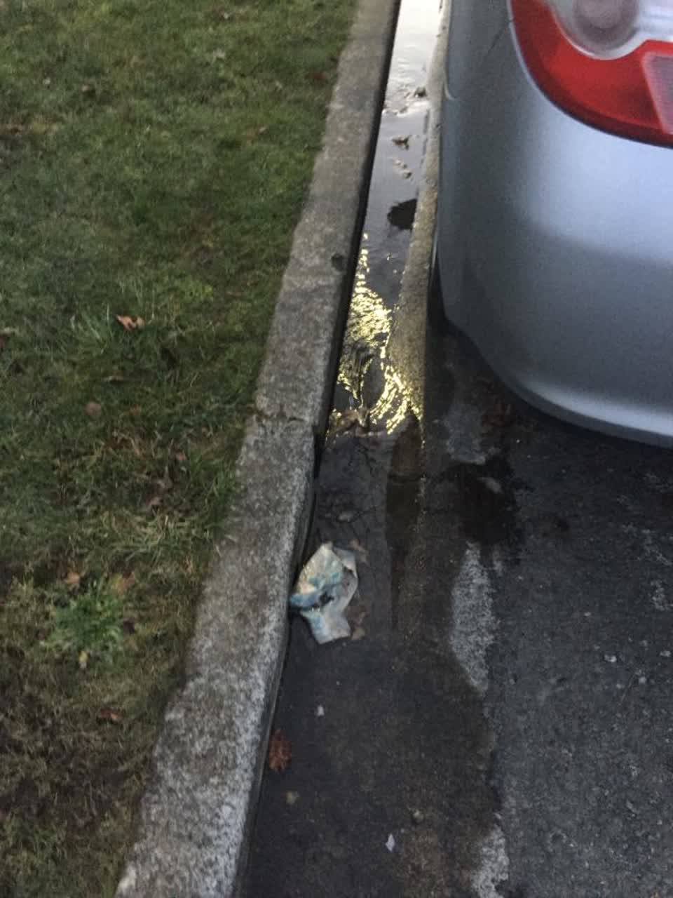 The photograph attached to this water supply report