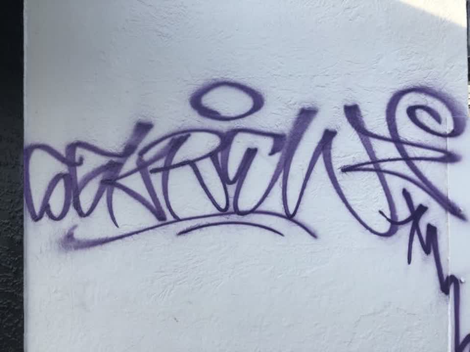The photograph attached to this graffiti report