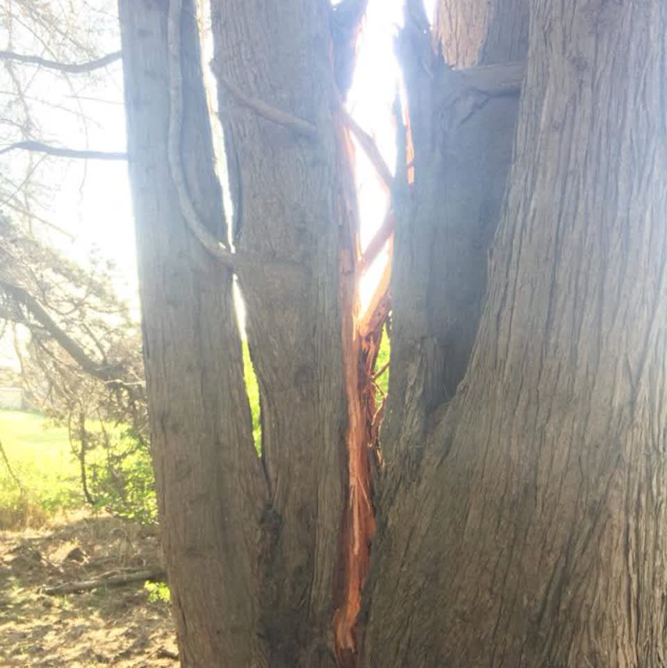 The photograph attached to this parks report