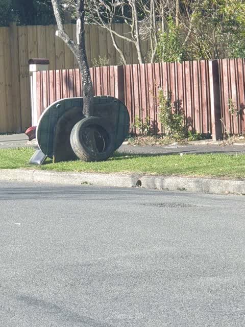 Rubbish/Recycling, a report photo