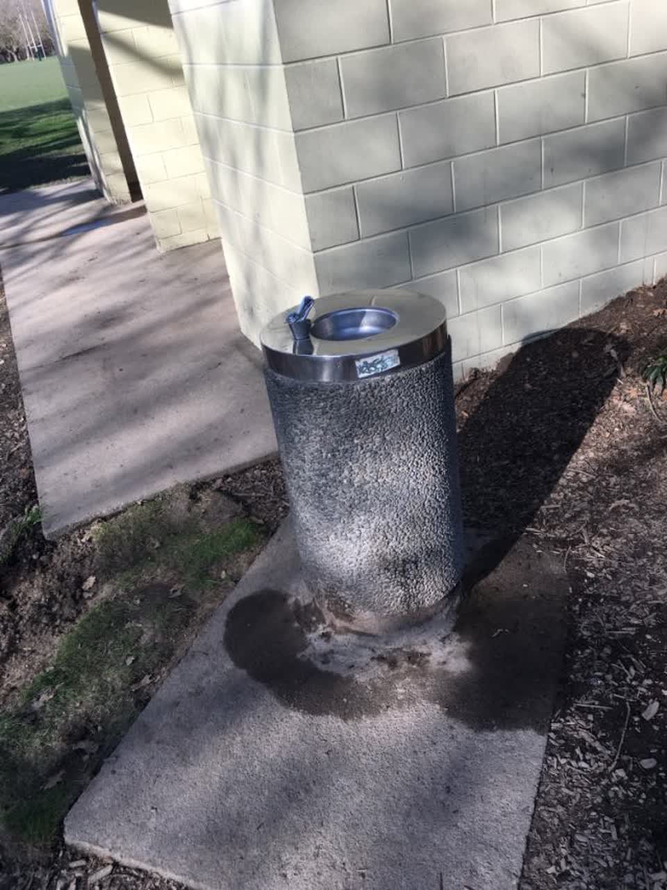 The photograph attached to this water supply report