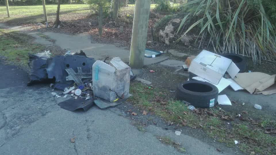 The photograph attached to this rubbish/recycling report
