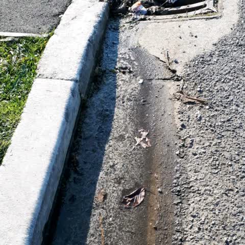 Wastewater/Stormwater, a report photo