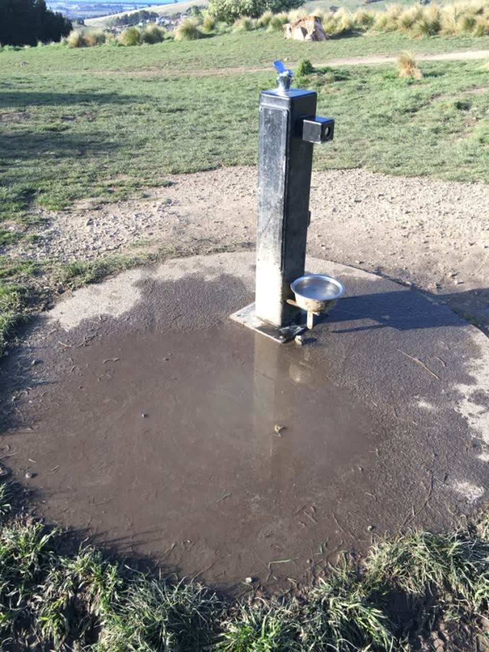 The photograph attached to this parks report