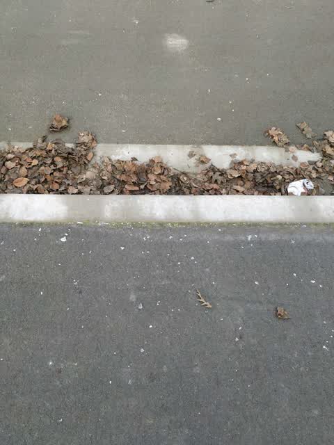 Roading/Streets, a report photo