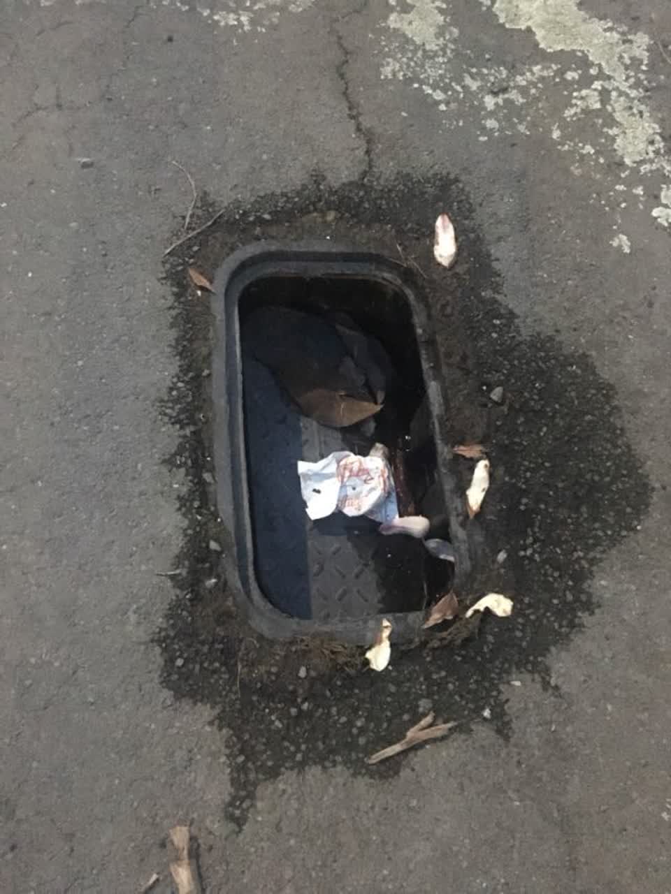 The photograph attached to this roading/streets report