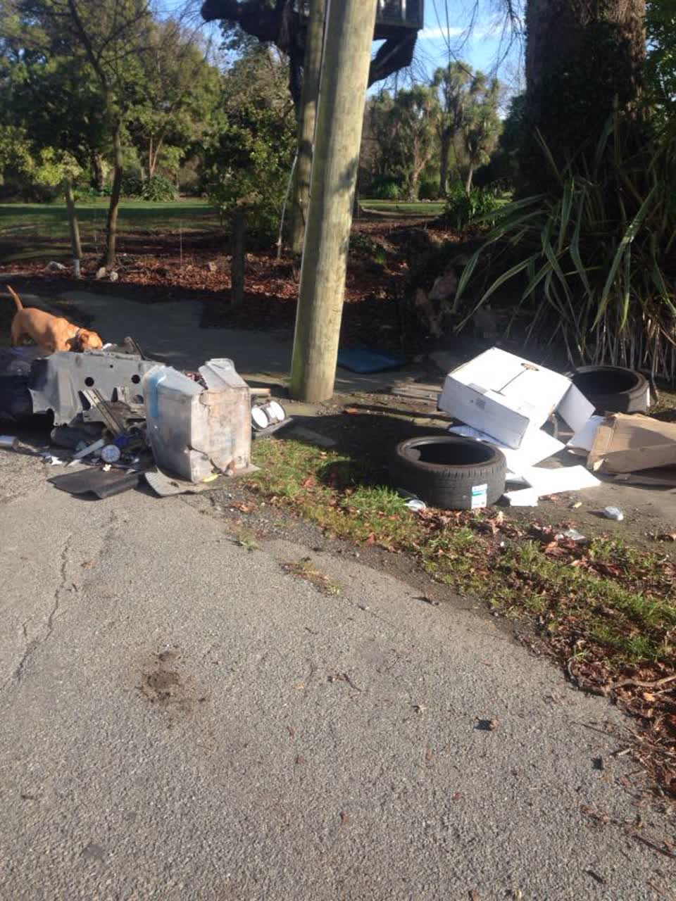 The photograph attached to this rubbish/recycling report