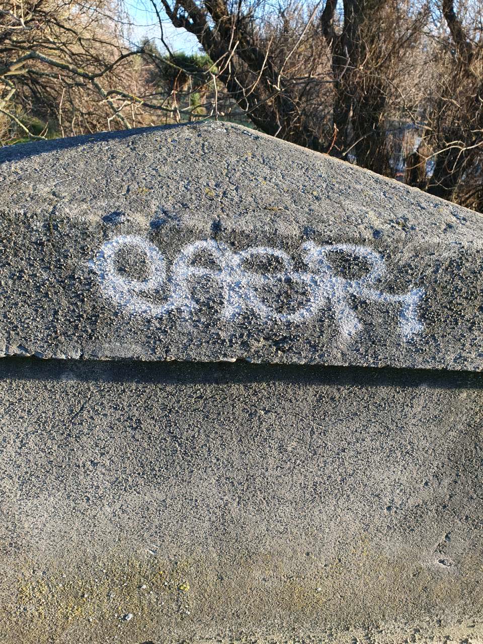 The photograph attached to this graffiti report