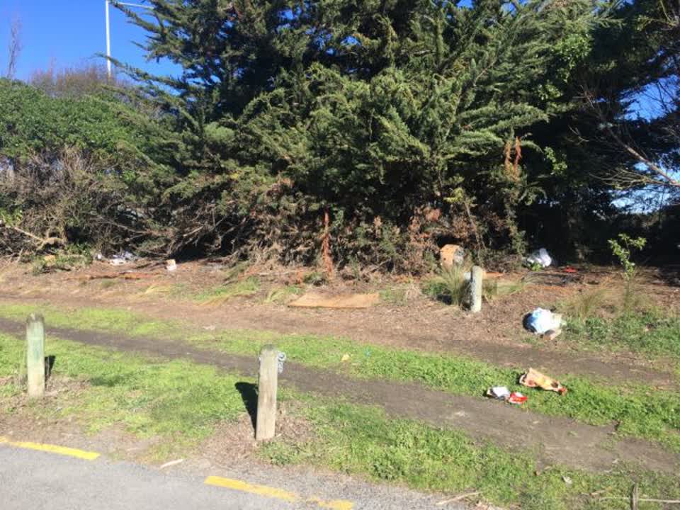 The photograph attached to this rubbish/recycling report
