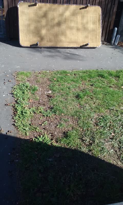 Rubbish/Recycling, a report photo