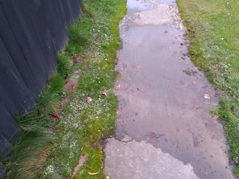 The photograph attached to this water supply report