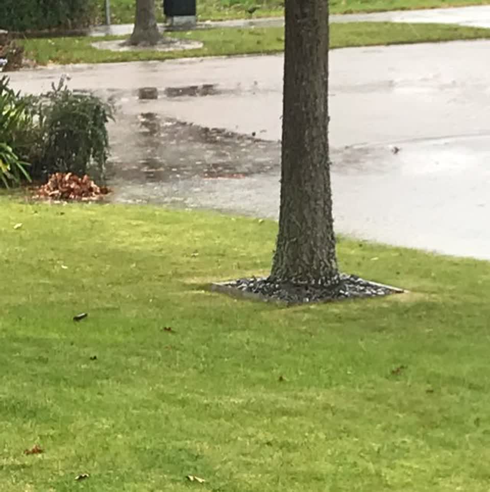 The photograph attached to this flooding report