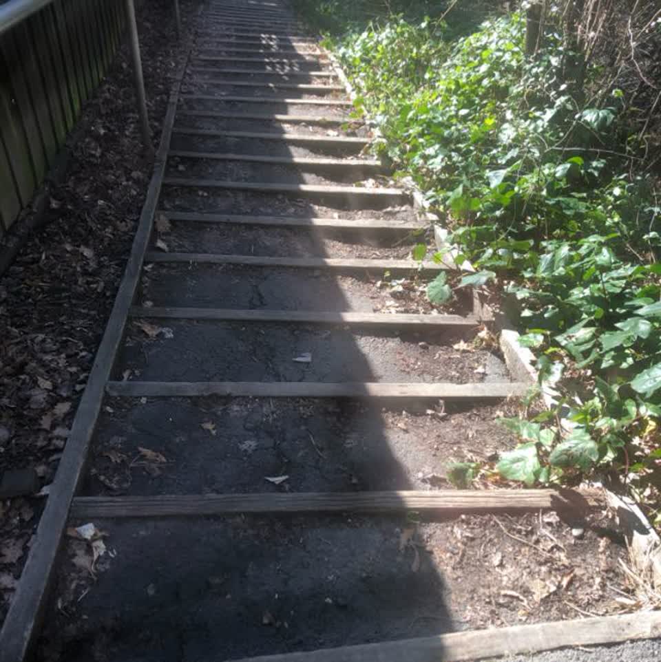 The photograph attached to this parks report