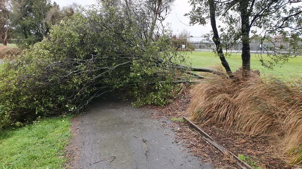 The photograph attached to this parks report