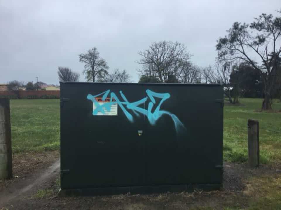 The photograph attached to this graffiti report