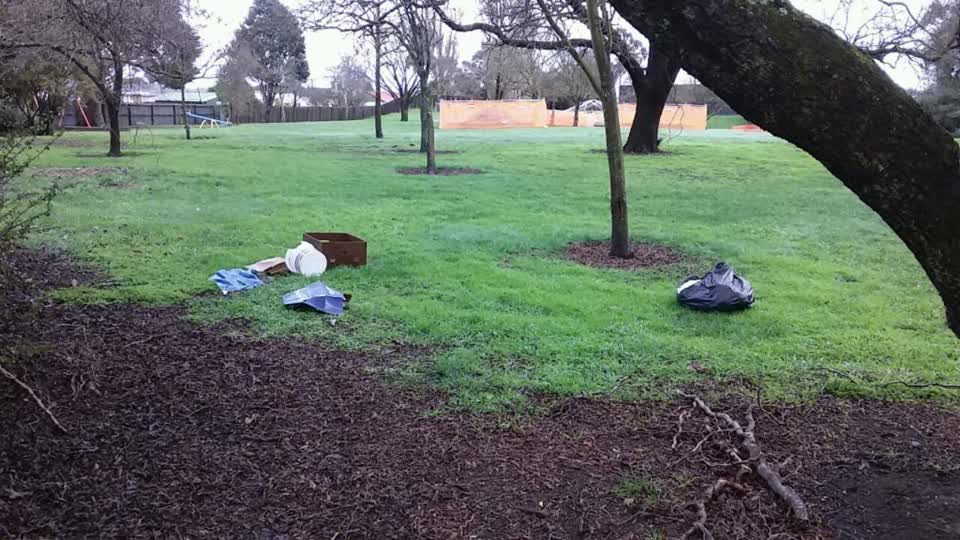 The photograph attached to this parks report