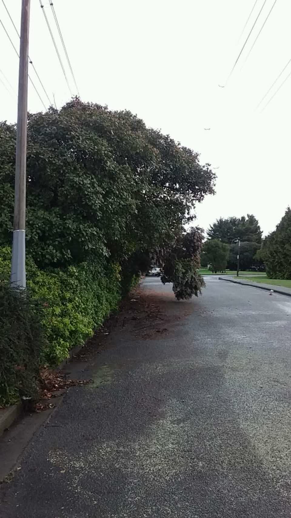 The photograph attached to this roading/streets report