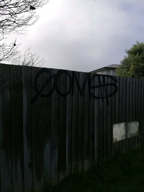 Graffiti, a report photo