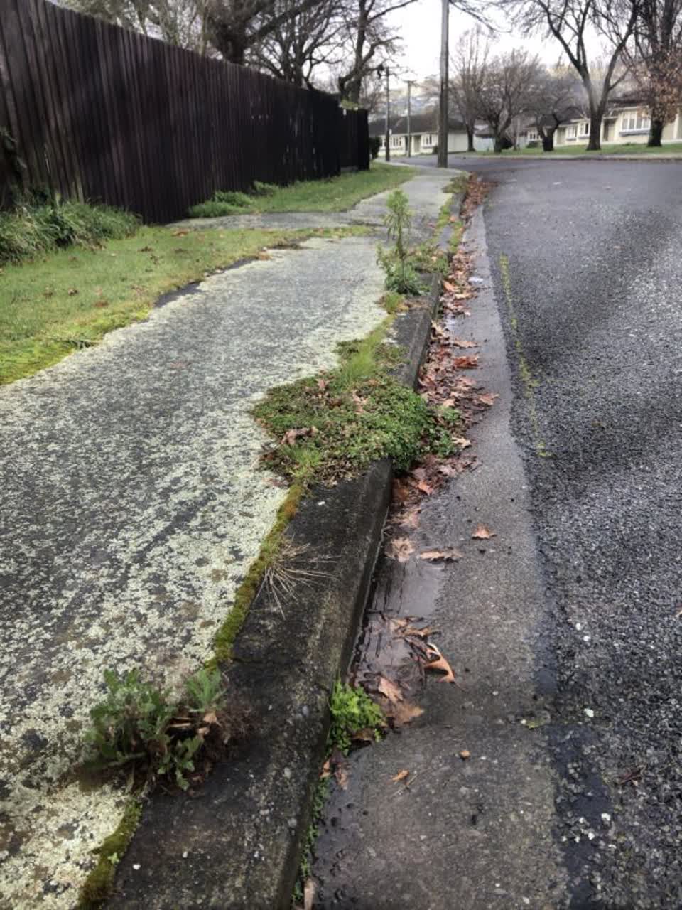 The photograph attached to this roading/streets report