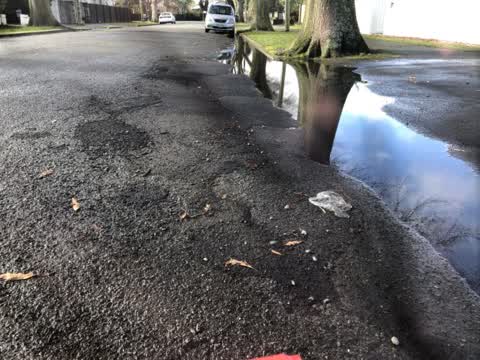 Roading/Streets, a report photo