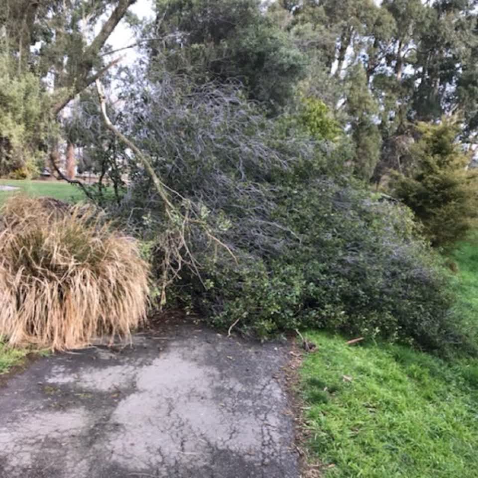The photograph attached to this parks report