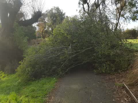 Parks, a report photo