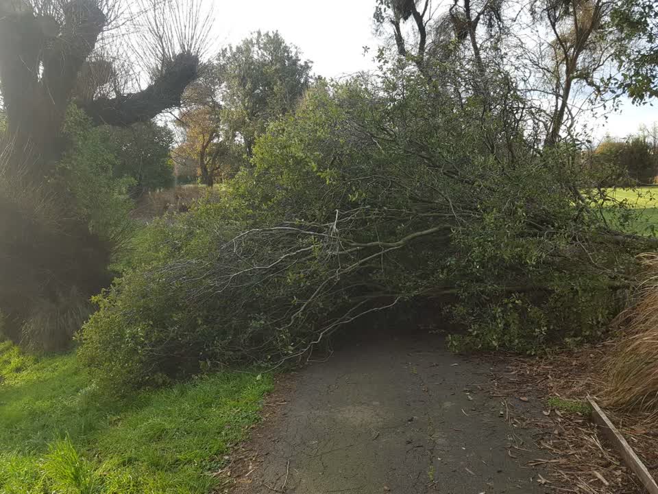 The photograph attached to this parks report