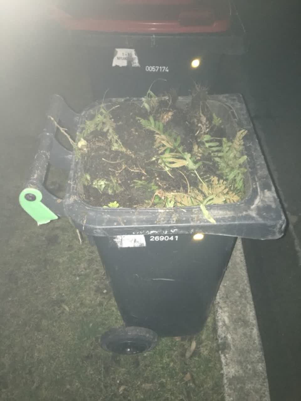 The photograph attached to this rubbish/recycling report