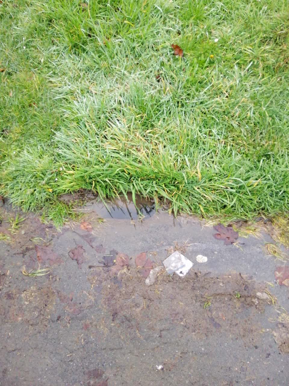 The photograph attached to this water supply report