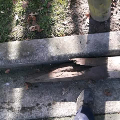 Parks, a report photo