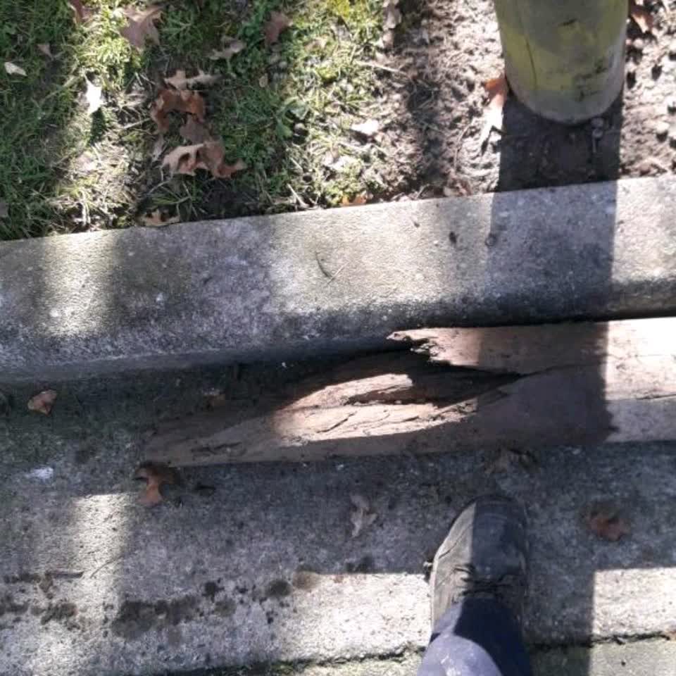 The photograph attached to this parks report