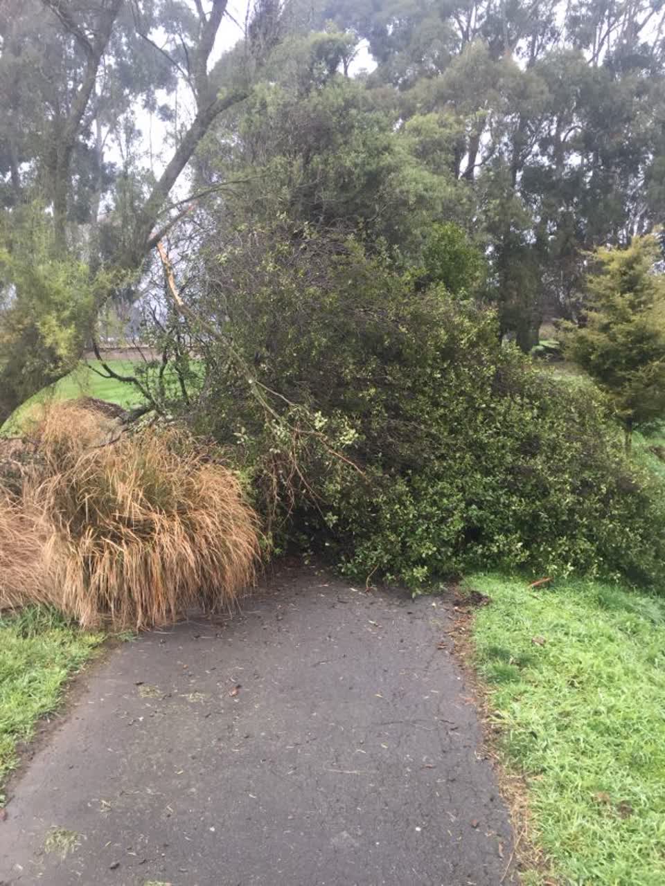 The photograph attached to this parks report