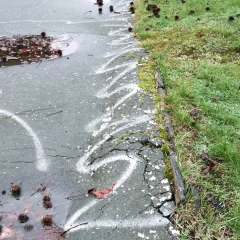 Roading/Streets, a report photo