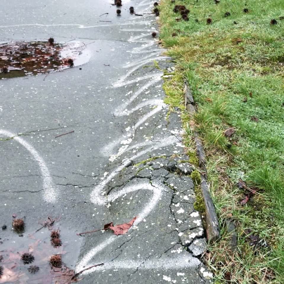 The photograph attached to this roading/streets report