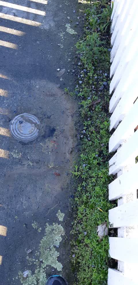 Water Supply, a report photo
