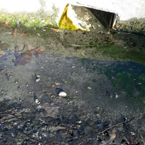 Wastewater/Stormwater, a report photo