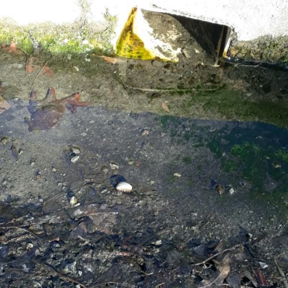 The photograph attached to this wastewater/stormwater report