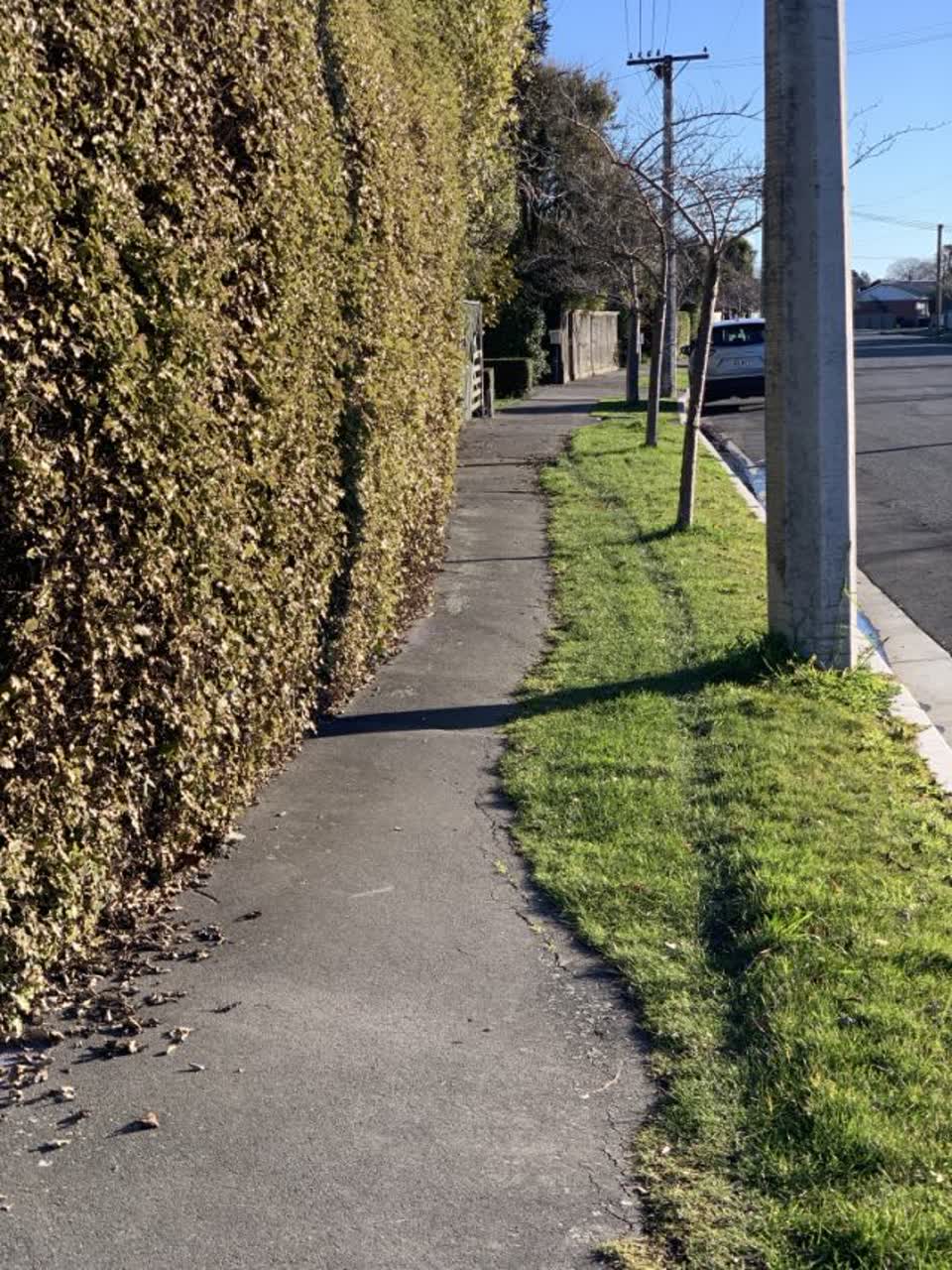 The photograph attached to this roading/streets report