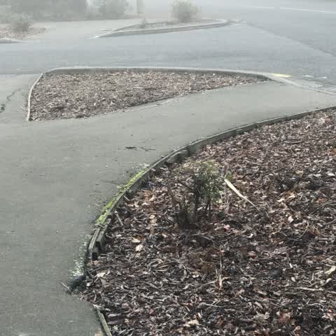 Parks, a report photo