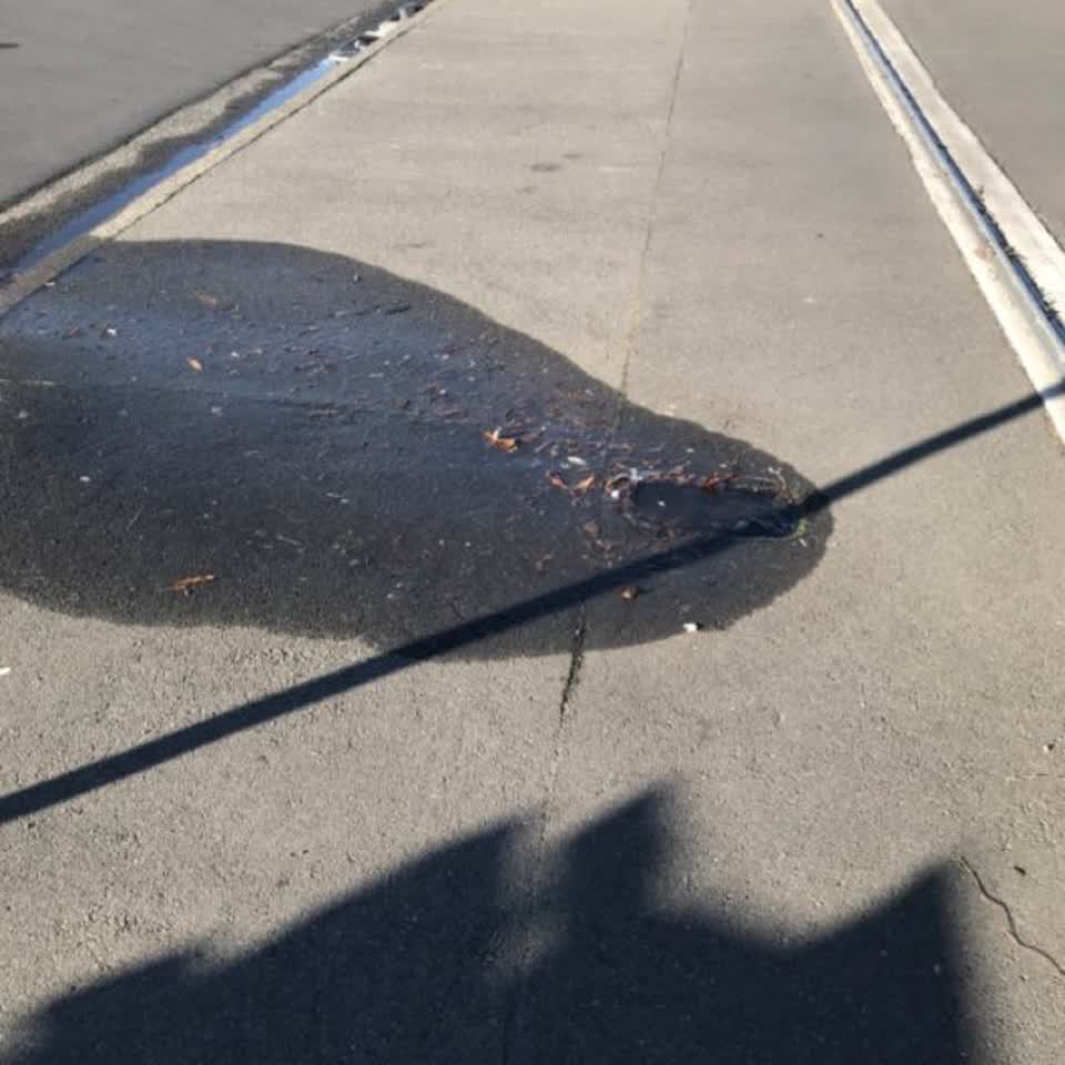 The photograph attached to this water supply report