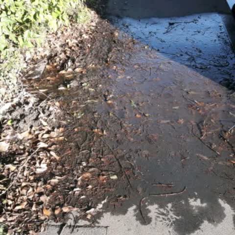 Water Supply, a report photo